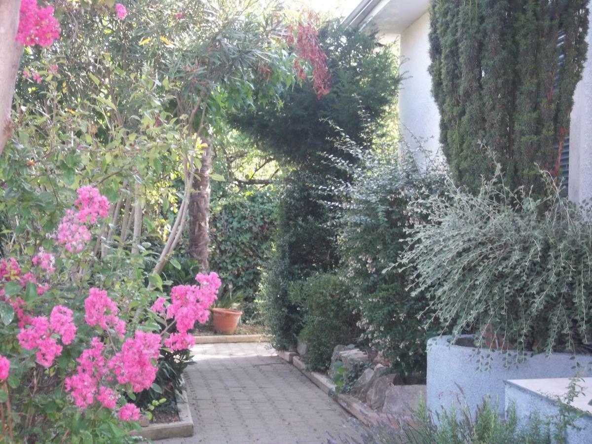 Toulouse Metropole Ouest Privee De Luxe - Sdb Wc Privee Terrasse Piscine Aqua Bike Homestay *