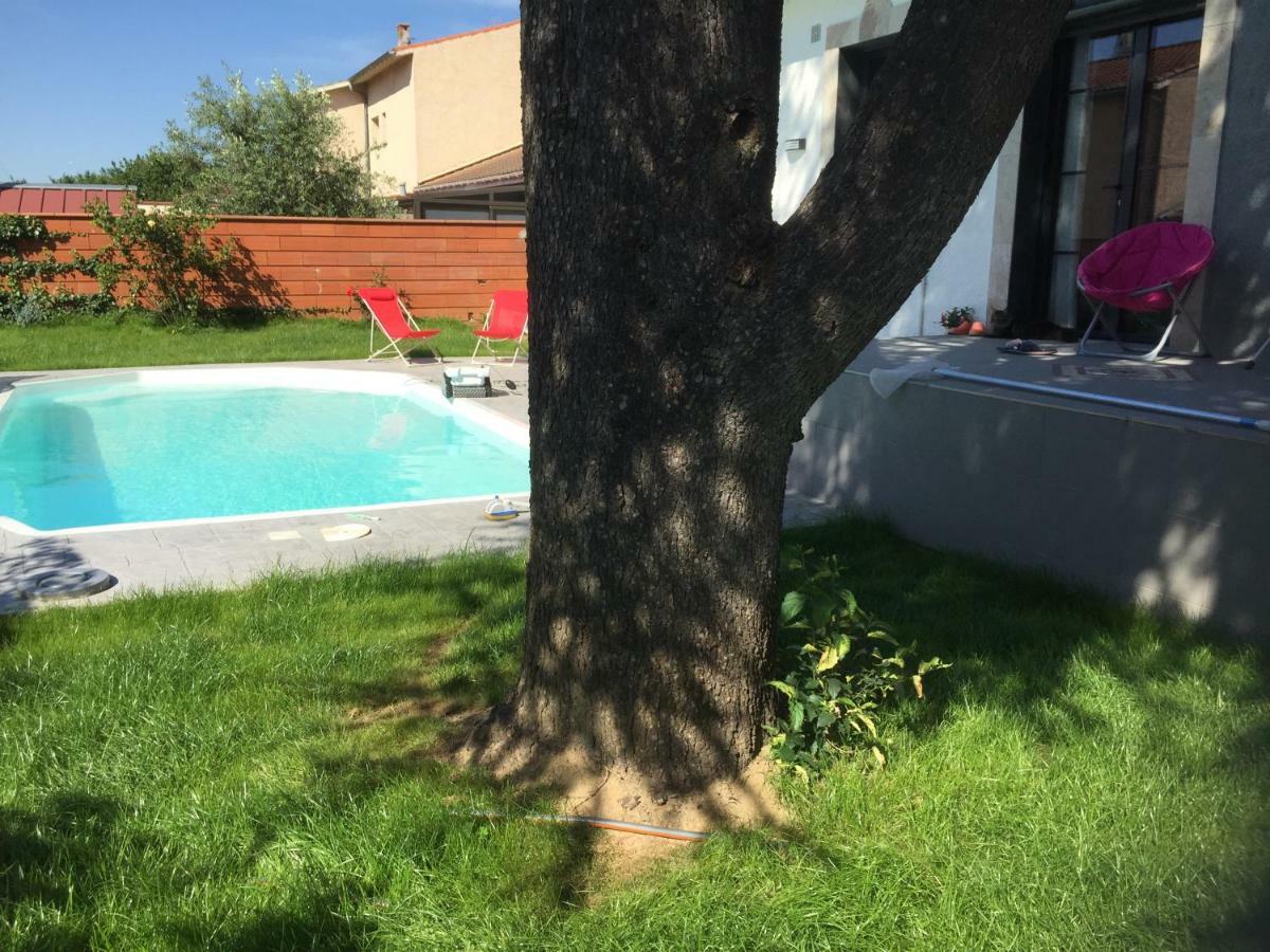 Homestay Toulouse Metropole Ouest Privee De Luxe - Sdb Wc Privee Terrasse Piscine Aqua Bike